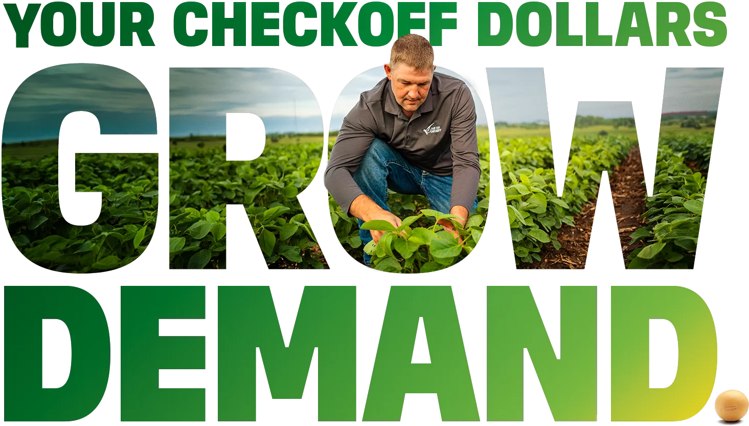 Large green text reads, “Your Checkoff Dollars Grow Demand.” The word “Grow” contains a photograph of green soybean rows beneath a cloudy sky. A farmer kneels in the center of the word, examining soybean plants. “Demand” appears below in oversized letters that shift from dark green to yellow. A small soybean sits beside the final period.